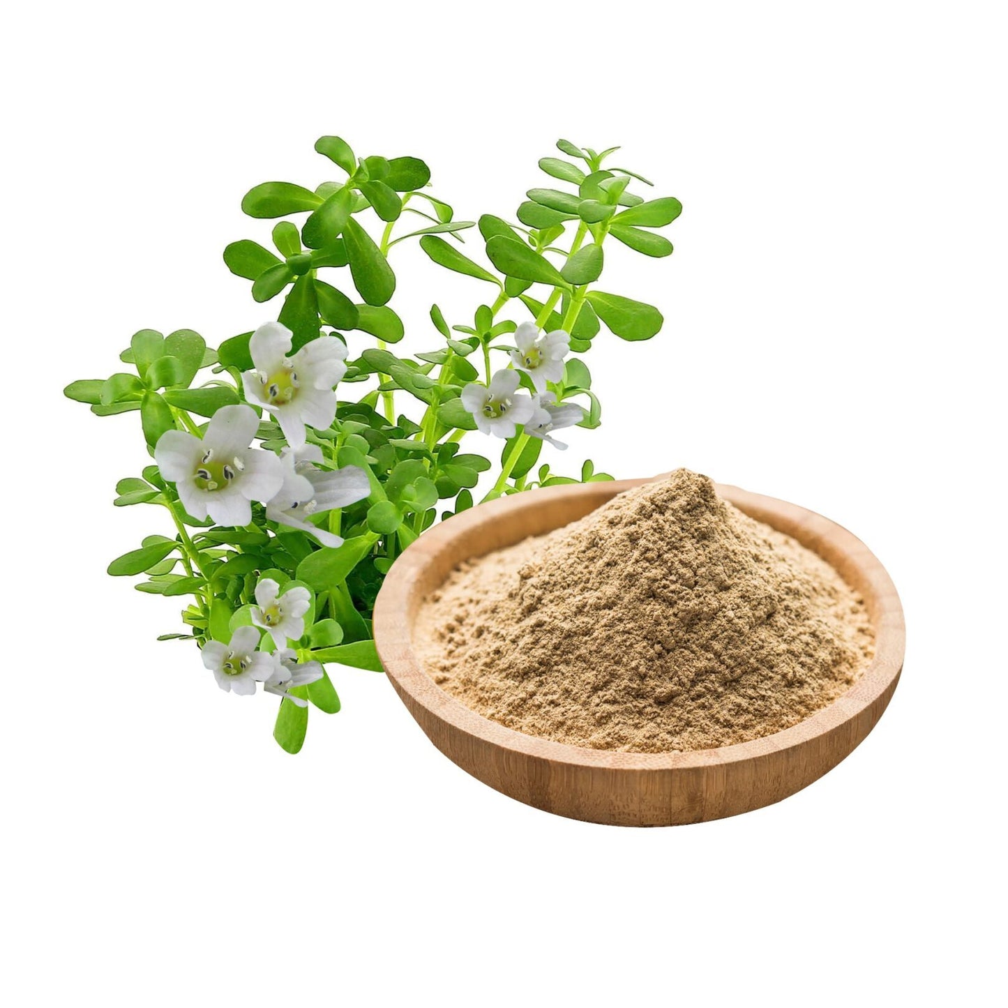 Brahmi